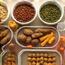 Nourriture saine et croquettes pour chiens et chats